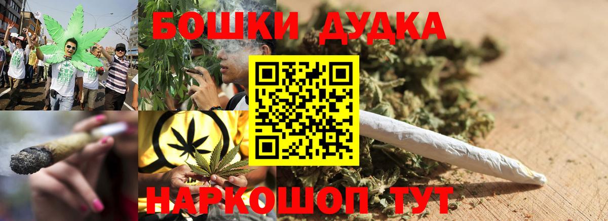 Каменка  Конопля сатива  Вход с VPN  Каннабис сатива 
